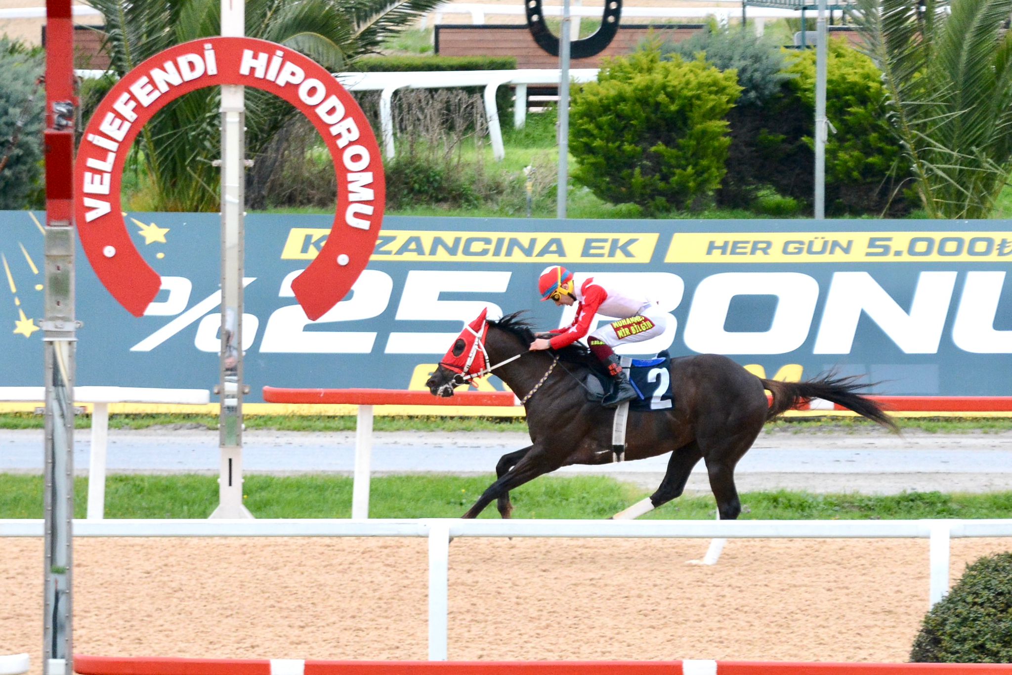 Avcı Ekürisi — Veliefendi Hipodromu'nda koşuda safkanımız